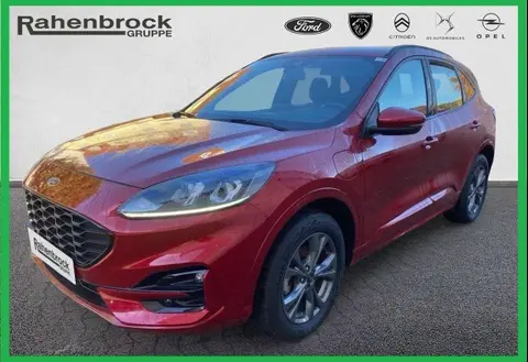 Used FORD KUGA Hybrid 2021 Ad 