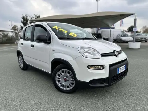 Used FIAT PANDA Hybrid 2024 Ad 