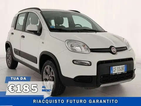 Used FIAT PANDA Petrol 2021 Ad 