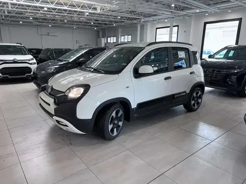 Annonce FIAT PANDA Hybride 2024 d'occasion 