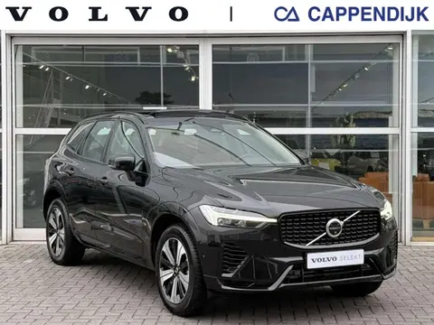 Annonce VOLVO XC60 Hybride 2024 d'occasion 