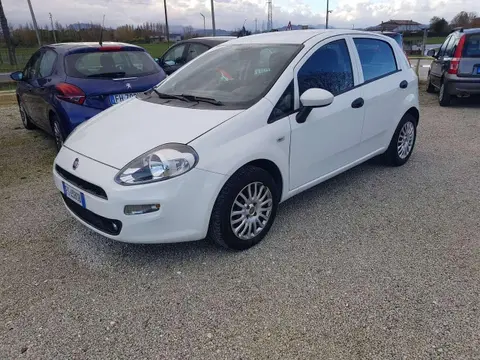 Annonce FIAT PUNTO GPL 2018 d'occasion 