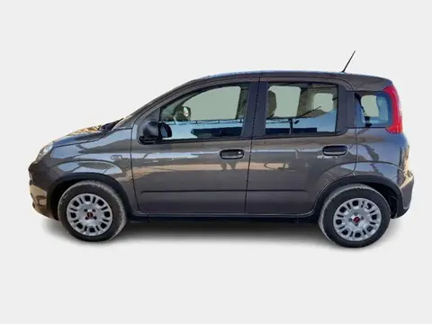 Annonce FIAT PANDA Hybride 2023 d'occasion 