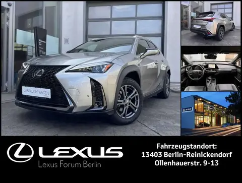 Annonce LEXUS UX Hybride 2023 d'occasion 