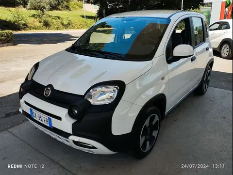 Used FIAT PANDA Hybrid 2022 Ad 