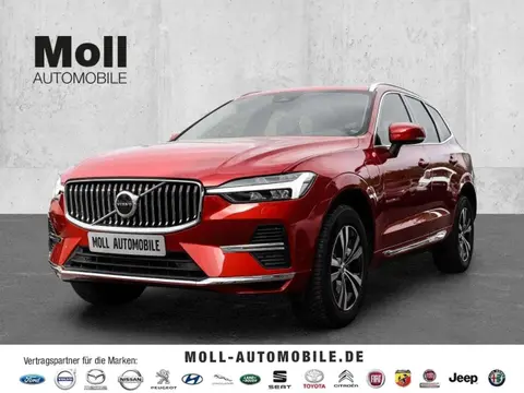 Annonce VOLVO XC60 Hybride 2023 d'occasion 