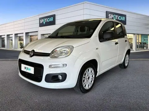 Used FIAT PANDA Diesel 2018 Ad 