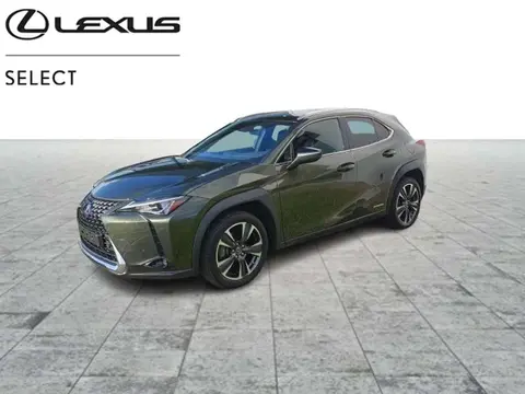 Annonce LEXUS UX Hybride 2021 d'occasion 