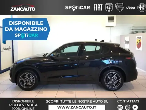 Used ALFA ROMEO STELVIO Diesel 2023 Ad 