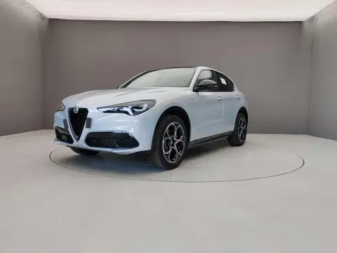 Annonce ALFA ROMEO STELVIO Diesel 2024 d'occasion 