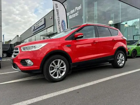 Annonce FORD KUGA Diesel 2019 d'occasion 