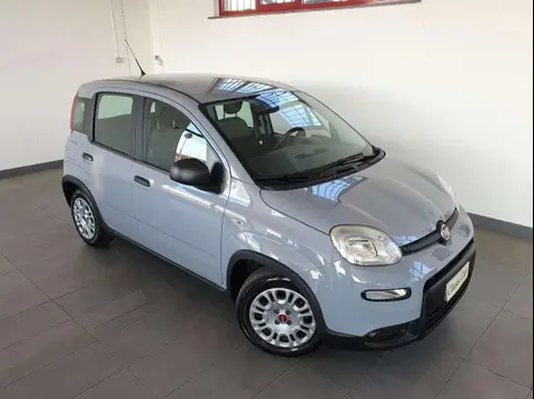 Used FIAT PANDA Hybrid 2022 Ad 