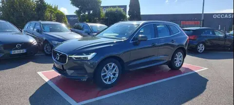 Annonce VOLVO XC60 Diesel 2019 d'occasion 