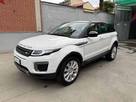 Annonce LAND ROVER RANGE ROVER EVOQUE Diesel 2017 d'occasion 