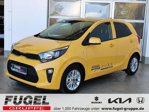 Annonce KIA PICANTO Essence 2024 d'occasion 