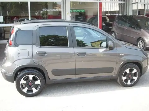 Used FIAT PANDA Hybrid 2023 Ad 