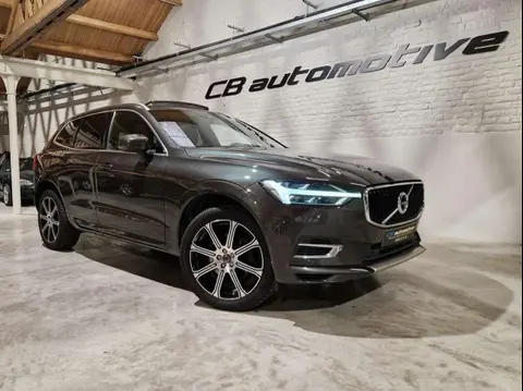 Used VOLVO XC60 Petrol 2018 Ad 