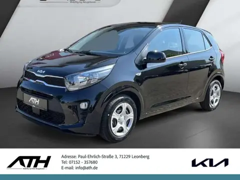 Used KIA PICANTO Petrol 2023 Ad 