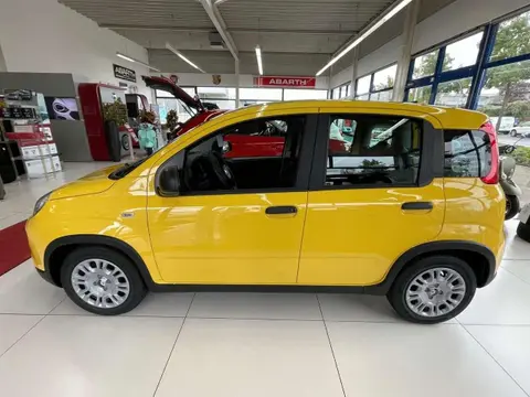 Annonce FIAT PANDA Essence 2024 d'occasion 