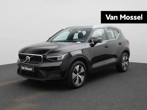 Used VOLVO XC40 Hybrid 2022 Ad 