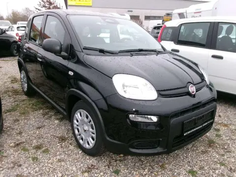 Annonce FIAT PANDA Essence 2024 d'occasion 