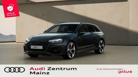 Used AUDI RS4 Petrol 2024 Ad 