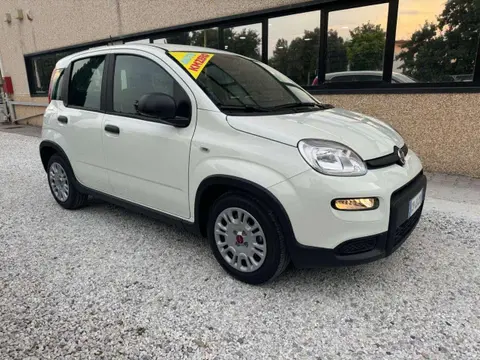 Annonce FIAT PANDA Hybride 2024 d'occasion 