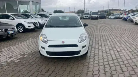 Used FIAT PUNTO LPG 2018 Ad 