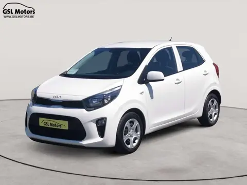 Annonce KIA PICANTO Essence 2022 d'occasion 