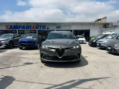 Annonce ALFA ROMEO TONALE Diesel 2023 d'occasion 