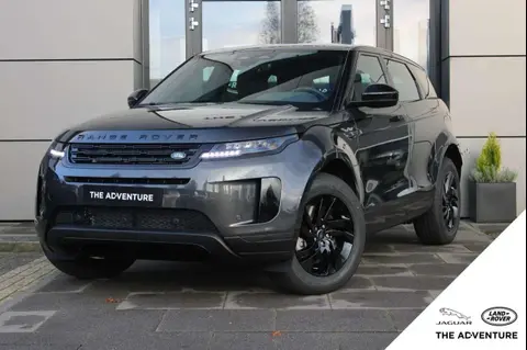 Used LAND ROVER RANGE ROVER EVOQUE Hybrid 2024 Ad 