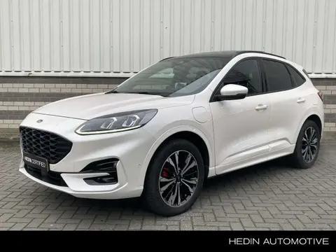 Annonce FORD KUGA Hybride 2023 d'occasion 