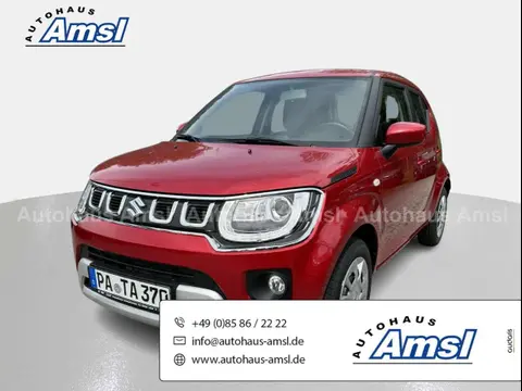 Used SUZUKI IGNIS Petrol 2024 Ad 