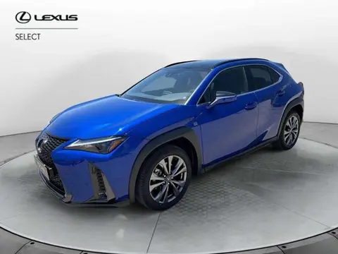 Annonce LEXUS UX Hybride 2023 d'occasion 