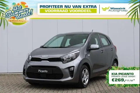 Used KIA PICANTO Petrol 2024 Ad 