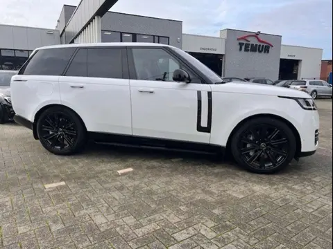 Used LAND ROVER RANGE ROVER Hybrid 2023 Ad 