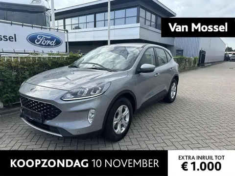 Annonce FORD KUGA Essence 2021 d'occasion 