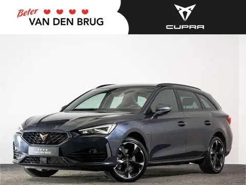 Annonce CUPRA LEON Hybride 2022 d'occasion 