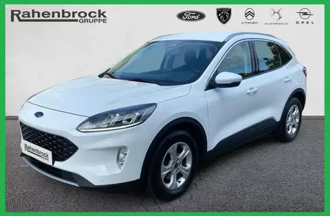 Used FORD KUGA Petrol 2020 Ad 