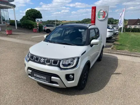 Annonce SUZUKI IGNIS Essence 2024 d'occasion 