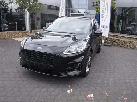 Used FORD KUGA Hybrid 2020 Ad Belgium