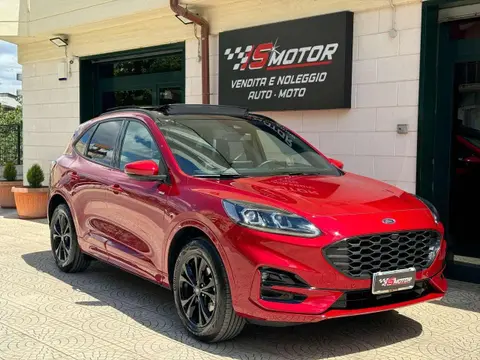 Annonce FORD KUGA Hybride 2023 d'occasion 