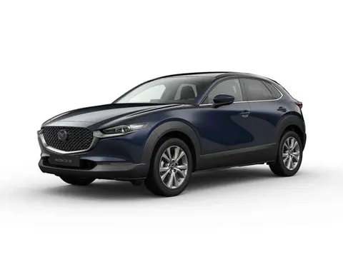 Annonce MAZDA CX-30 Hybride 2024 d'occasion 