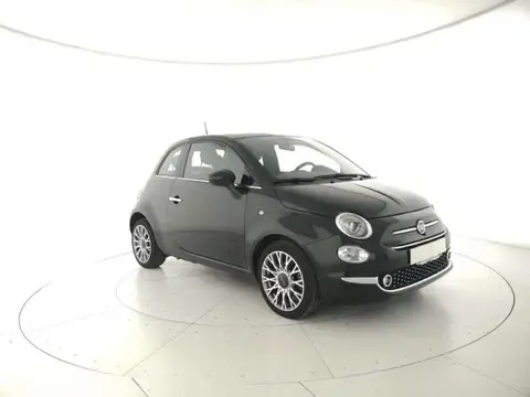 Used FIAT 500 Petrol 2020 Ad 