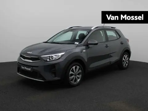 Used KIA STONIC Petrol 2022 Ad 