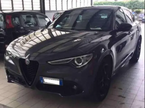 Used ALFA ROMEO STELVIO Diesel 2021 Ad 