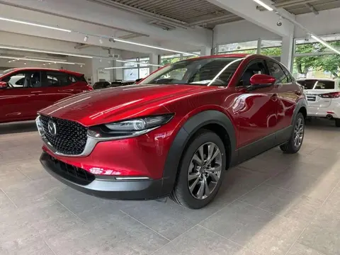 Annonce MAZDA CX-30 Hybride 2024 d'occasion 