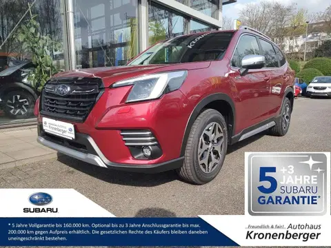 Used SUBARU FORESTER Petrol 2024 Ad 