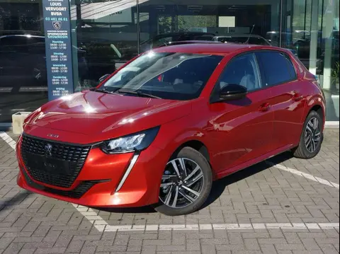 Annonce PEUGEOT 208 Essence 2024 d'occasion 