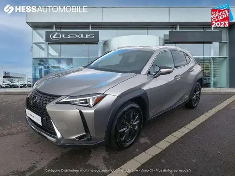 Used LEXUS UX Hybrid 2020 Ad 